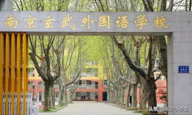 2020小升初玄外录取排名,小升初能同时摇中南外和玄外吗