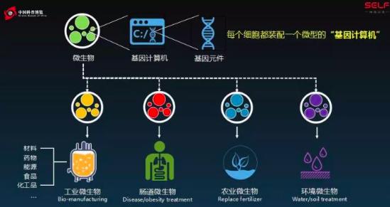 塑料大概多少年才能在自然界降解,塑料究竟可以降解吗