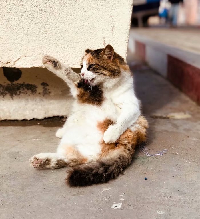 去摩洛哥自由行攻略,摩洛哥游玩自由行攻略