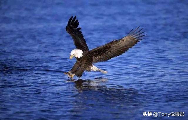 摄影教程什么是快门速度,流光摄影快门速度