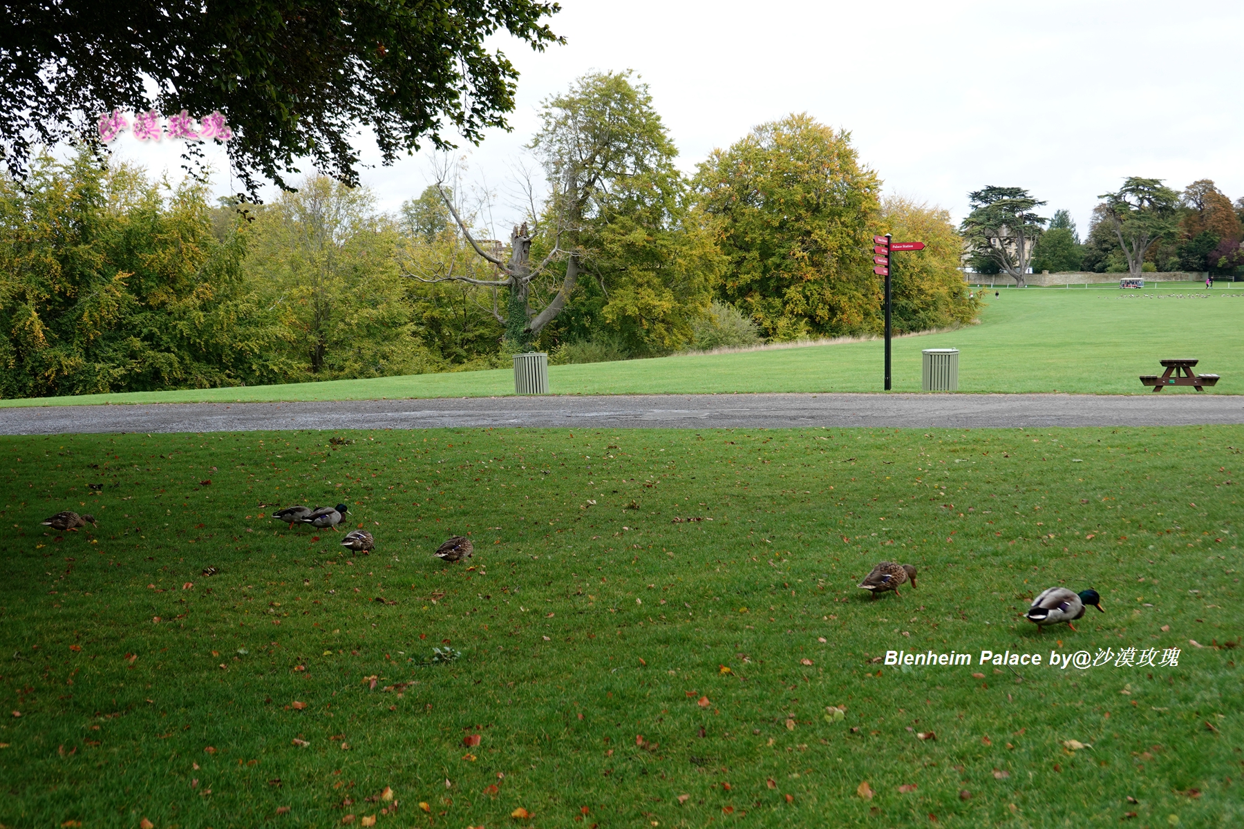 它是英国最大最豪华的私人庄园，在此诞生了改变世界的伟人