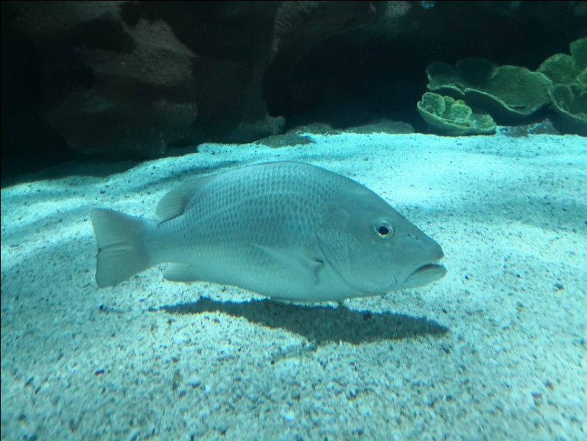 北京工体富国海底世界周一营业,北京工体富国海底世界旅馆