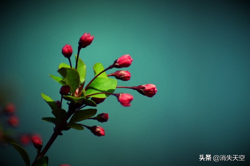 合肥杏花公园,合肥杏花公园相亲每周时间安排