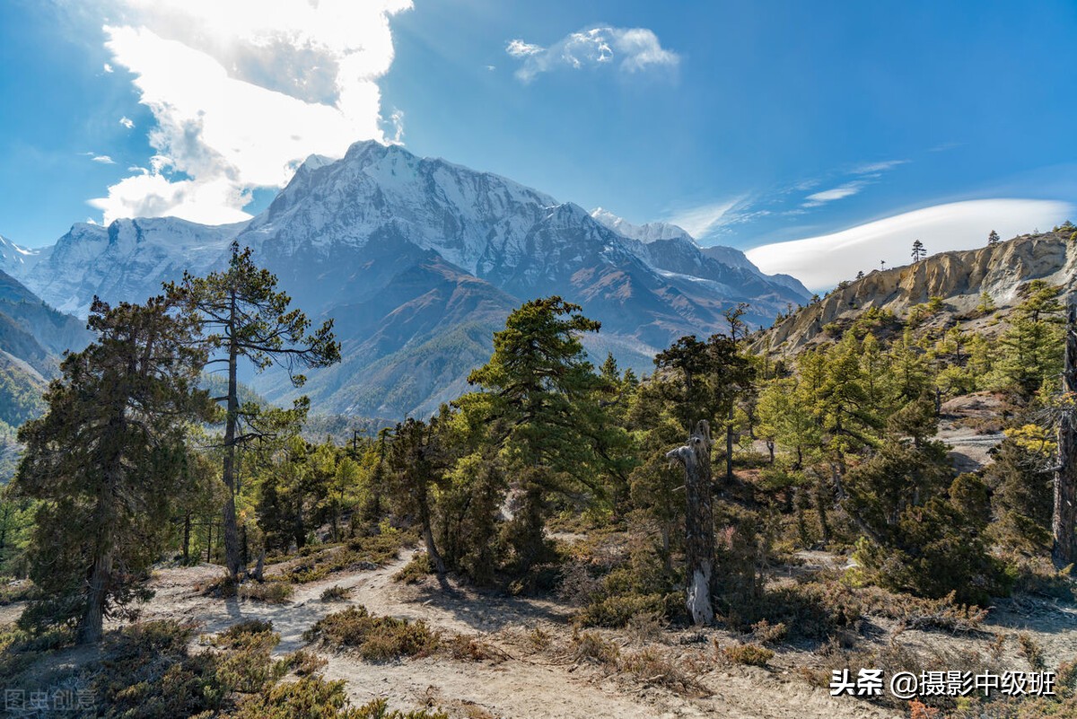 摄影构图三大禁忌,摄影构图常犯的错误新手必须谨慎