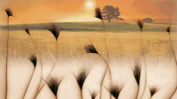 去除汗毛需要注意什么,汗毛怎么去掉最快方法不用工具