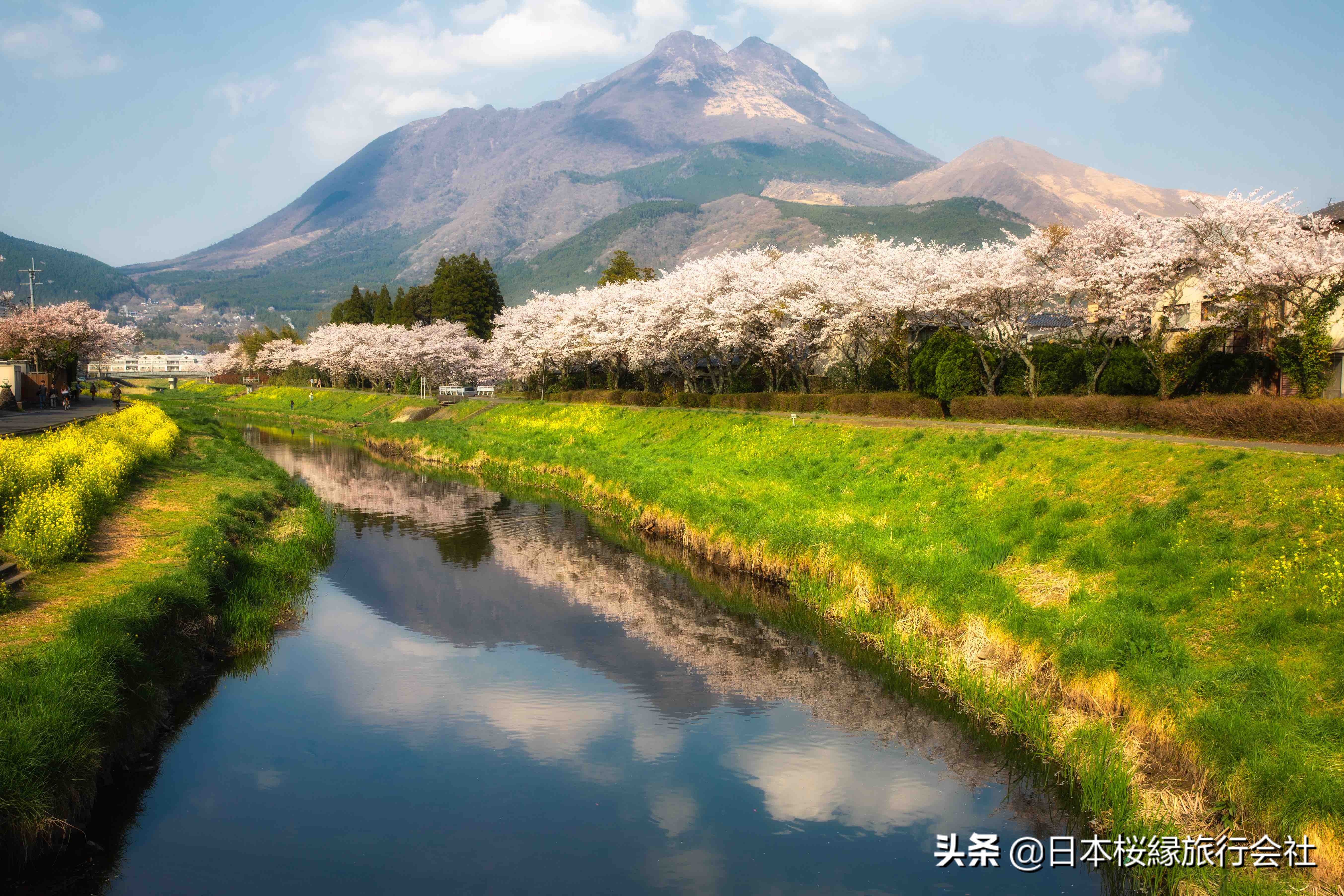 日本温泉之旅免费观看,日本三大温泉之旅系列