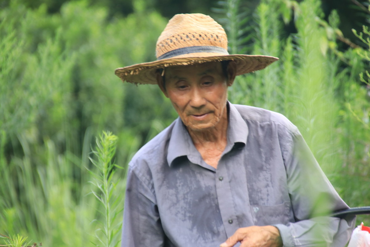 “人老了,儿女不赡养老人怎么办?”4位老人给出4种方法,聪明