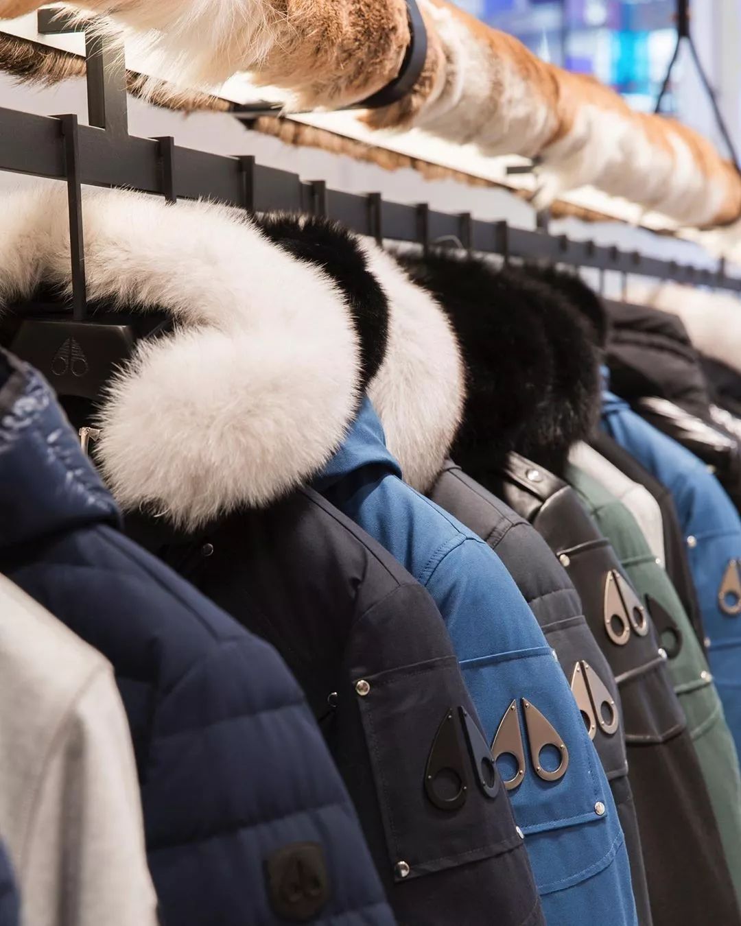 周洁琼穿砂糖匡威鞋,周洁琼鞋