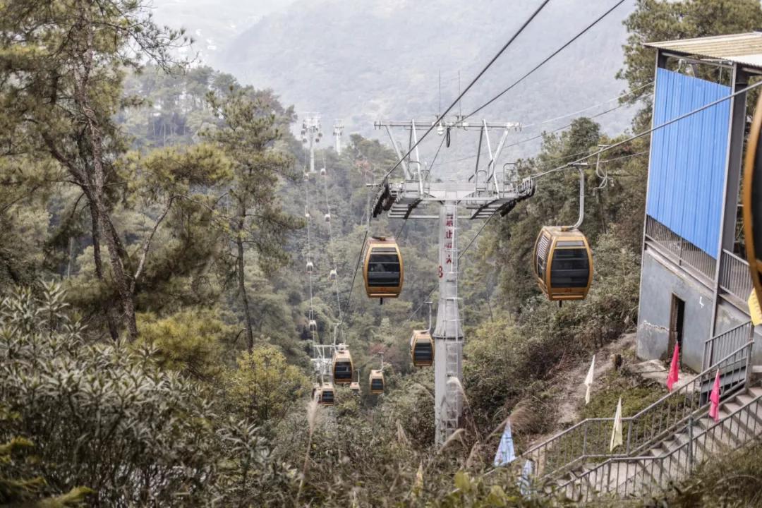 巴南又能耍又有吃的,重庆有什么美食巴南区