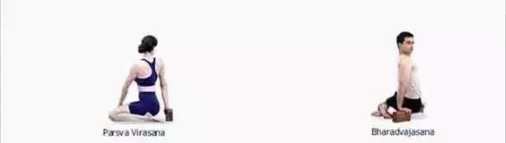 常见的艾扬格瑜伽体式,艾扬格瑜伽23个基本体式