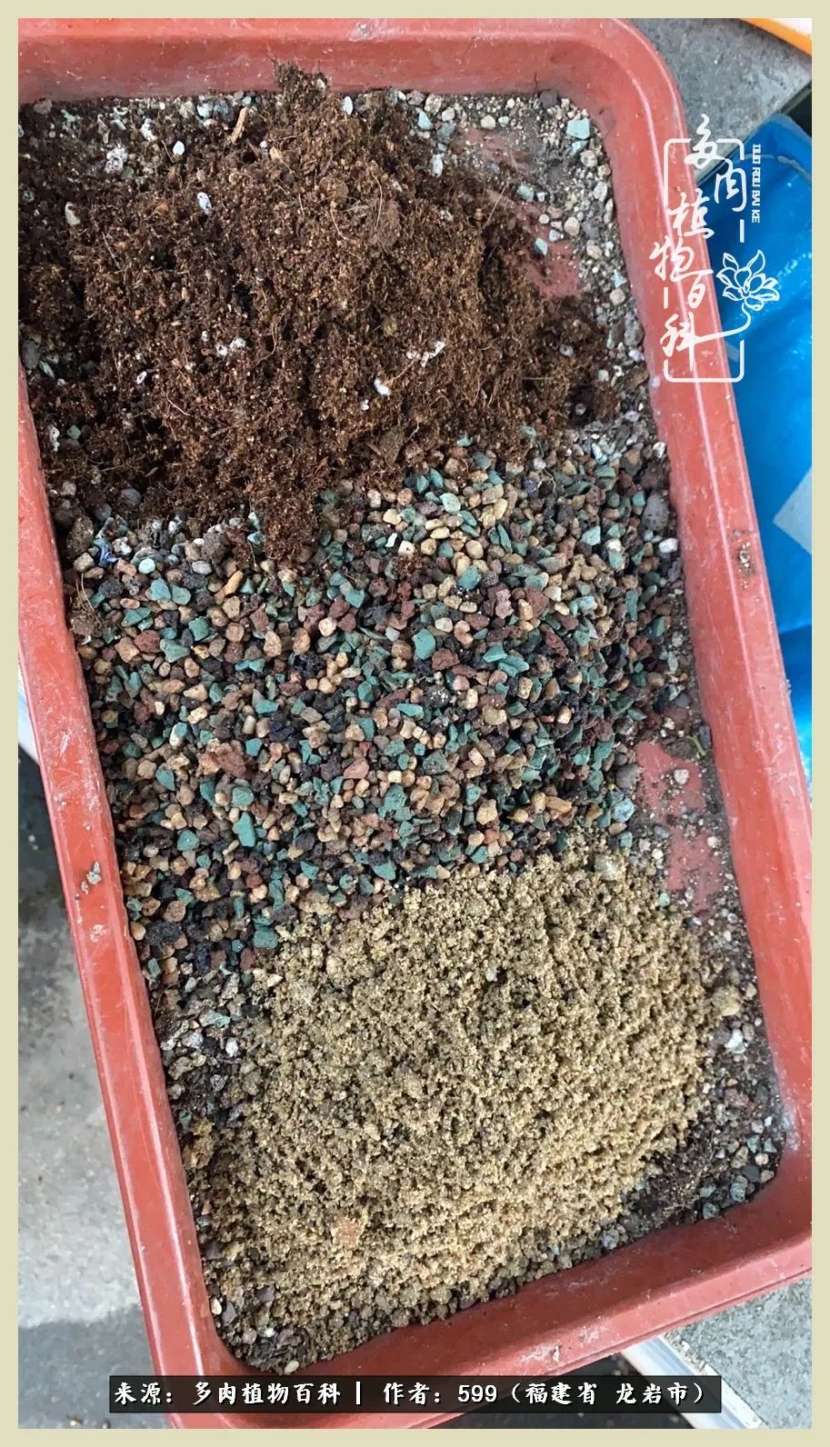 生活需要努力也需要花草,所有的热爱都需要不遗余力图片