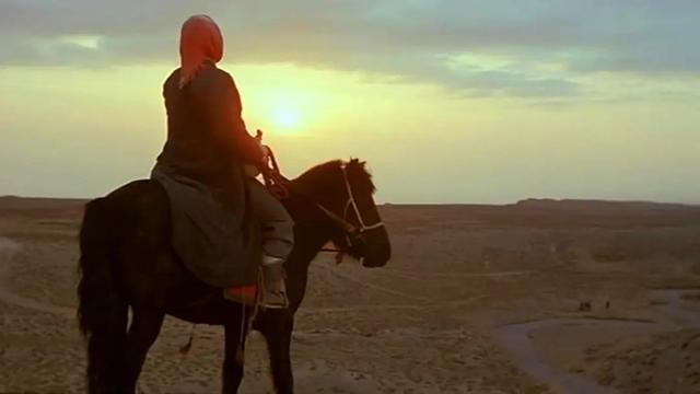 宋小女张玉环离婚,张玉环宋小女图片