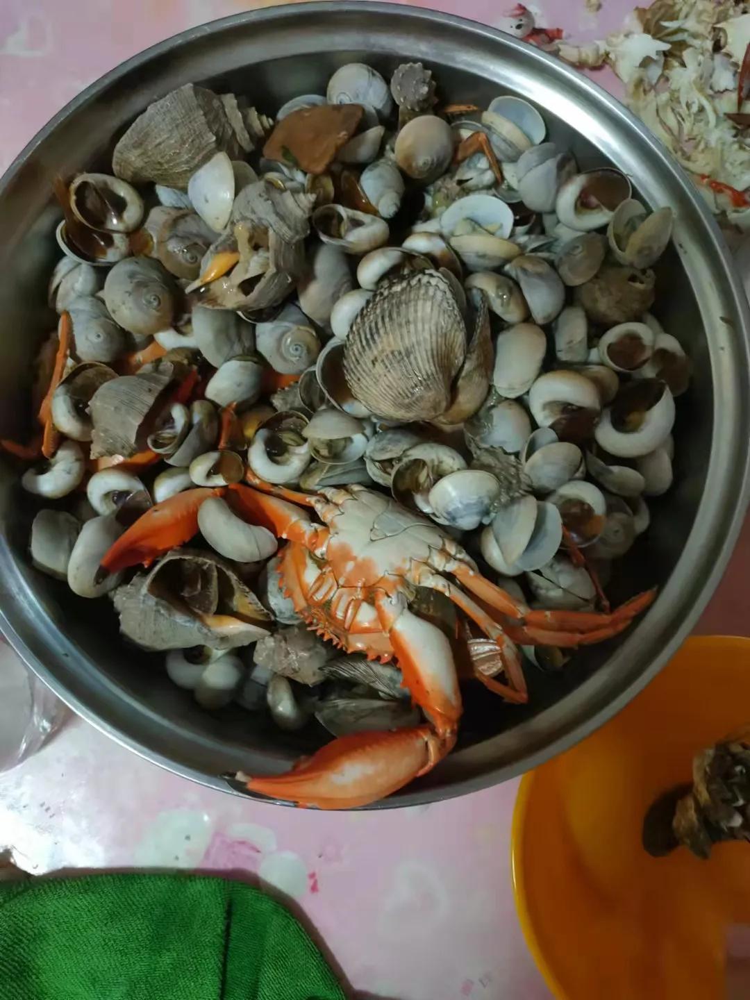 庄河黑岛赶海地点,庄河黑岛赶海潮汐表