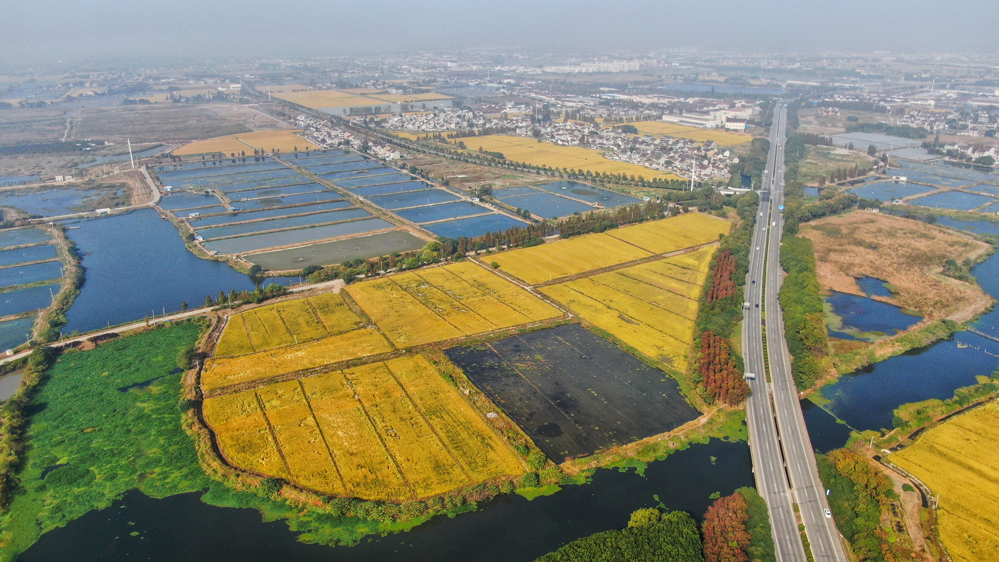 苏州古镇攻略一日游,苏州古镇一日游攻略