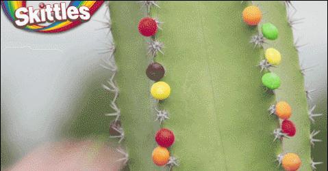 彩虹糖脑洞 (彩虹糖脑洞狂魔)