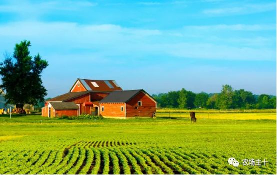 管理农场,或许你还少点火候