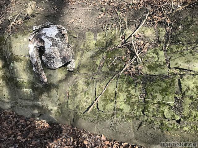 迷彩伪装效果图片,美军acu迷彩服伪装效果