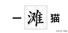 一根猫、一滩猫、一架猫，喵星人逆天姿势大全