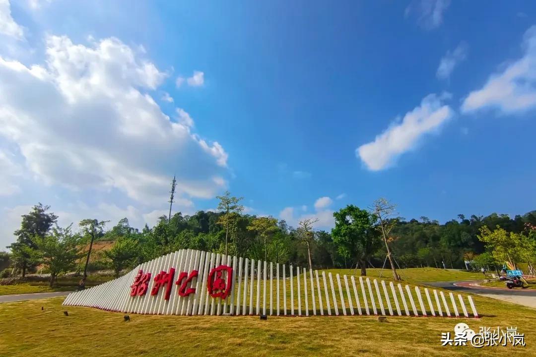 藏在森林里的儿童乐园,韶关市森林公园儿童游玩项目
