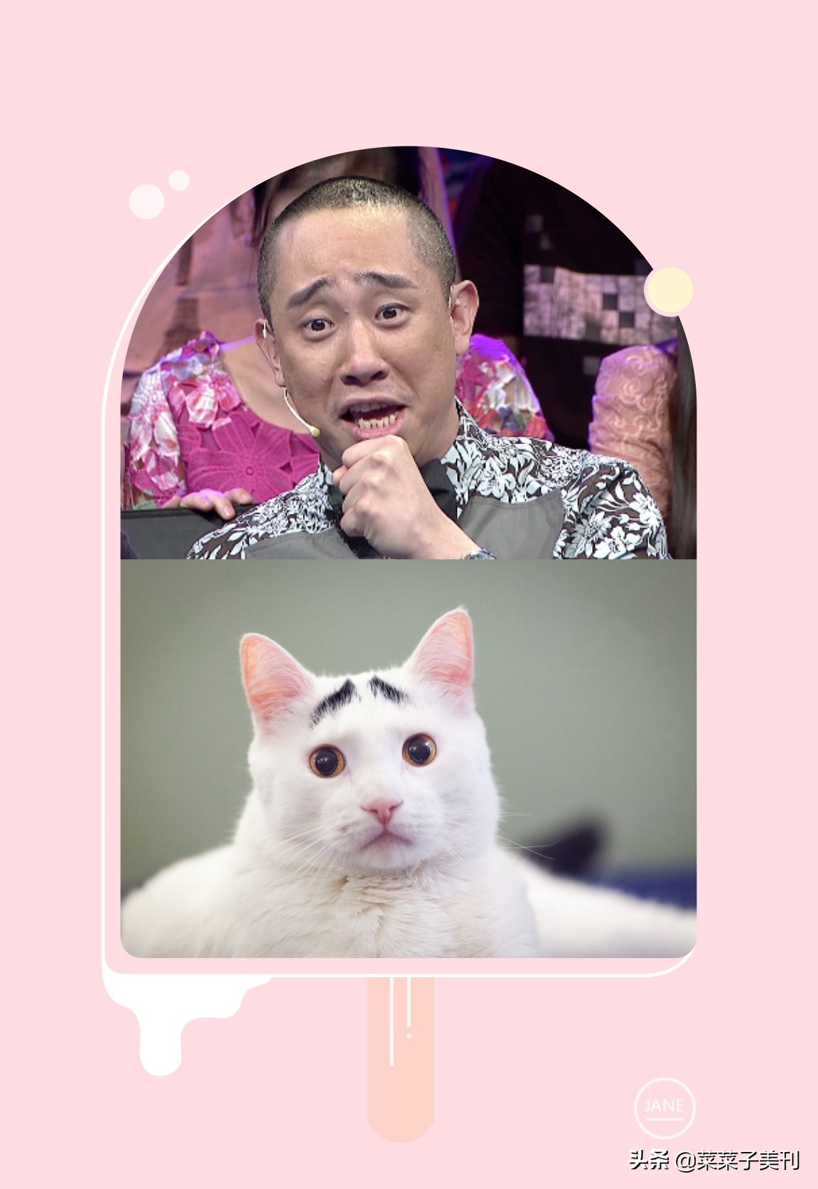 改眉毛的10个方法,最好看的眉毛改造