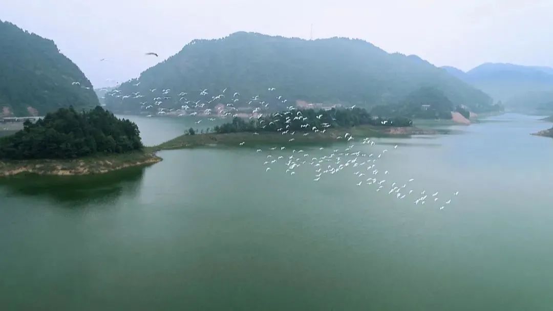 怎么宣传湖南南山国家公园,湖南南山国家公园有哪些景点