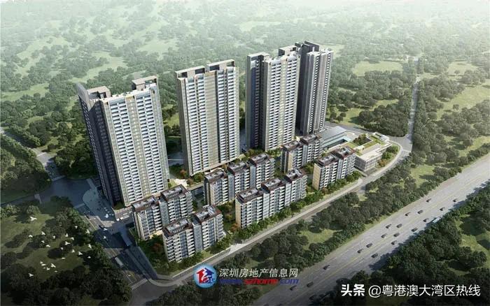 高端商住区旧改,网红片区新楼盘