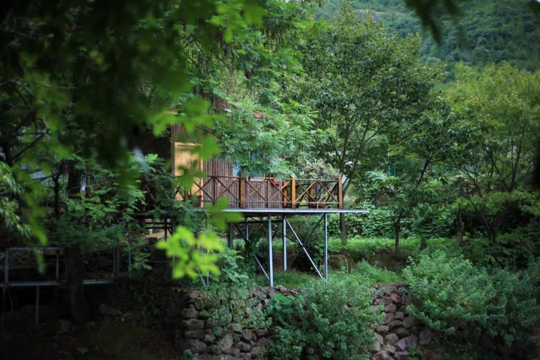 七年级秋天的怀念课文解析,七年级上册秋天的怀念笔记