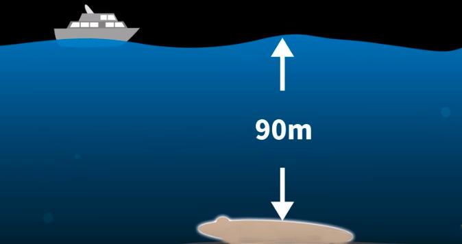 海底惊现神秘圆盘,木星一号海底圆盘