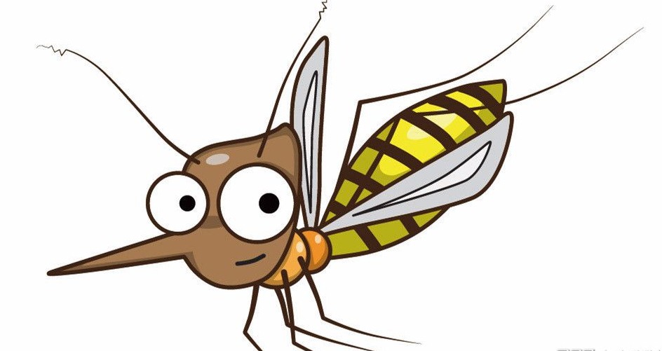 小区消毒杀虫方法与常识,杀虫公司怎样除蟑螂