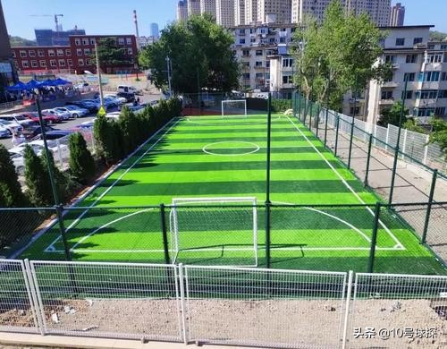 足球才是生命的真谛,足球是什么类的