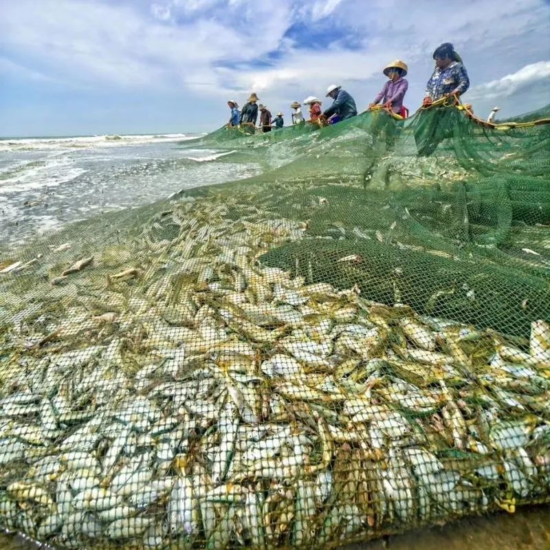 距海南20km有片处女地，比台湾风情比三亚便宜，路过都错过了