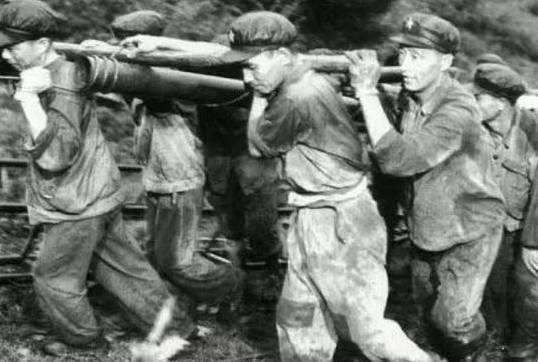 共和国守护者,共和国的守护者简介