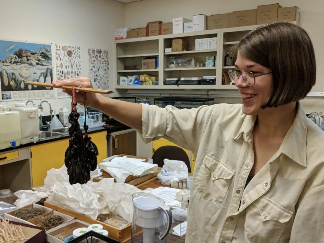 绉戝鐮旂┒姘磋洯,绉戝姘磋洯鐮旂┒