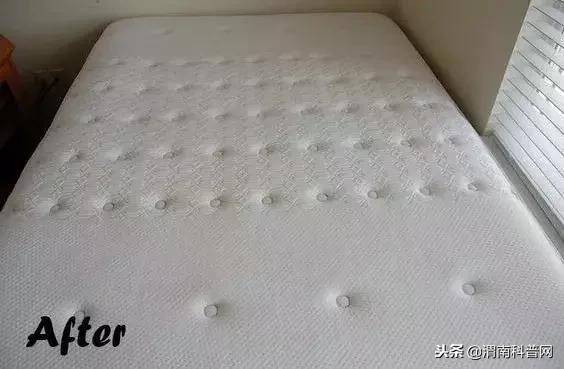 床垫被子怎么除螨虫,进口床垫清洗除螨虫