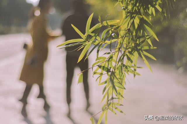 发现妻子外面有人后,老婆外面有情人是原谅还是离婚