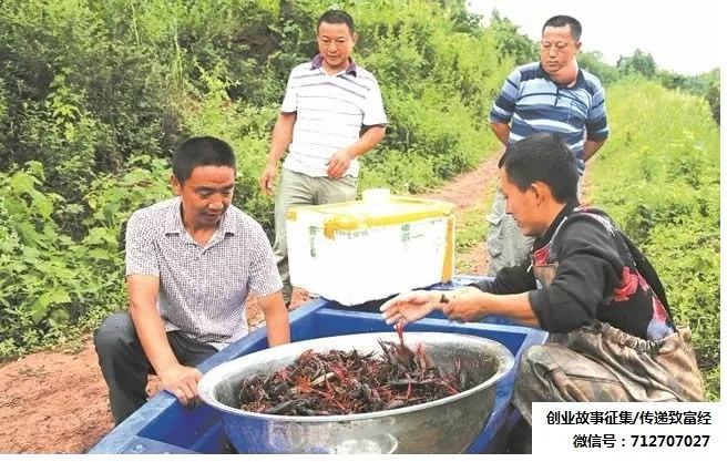 回农村创业养殖小龙虾政策,退伍老兵创业200万