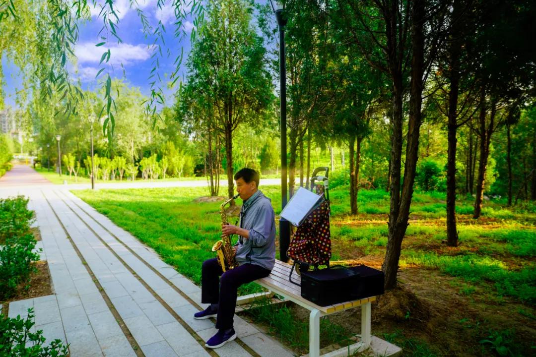 顺义公园健康步道效果图,顺义公园健康步道翻新