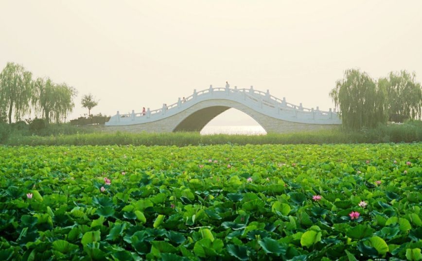 天津免费景点,天津必游的免费景点排名前十