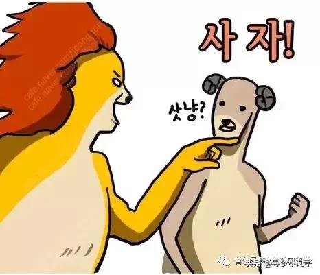 去韩国必买的东西,去韩国必买推荐