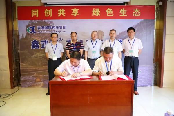 安发国际控股模式,安发模式如何盈利