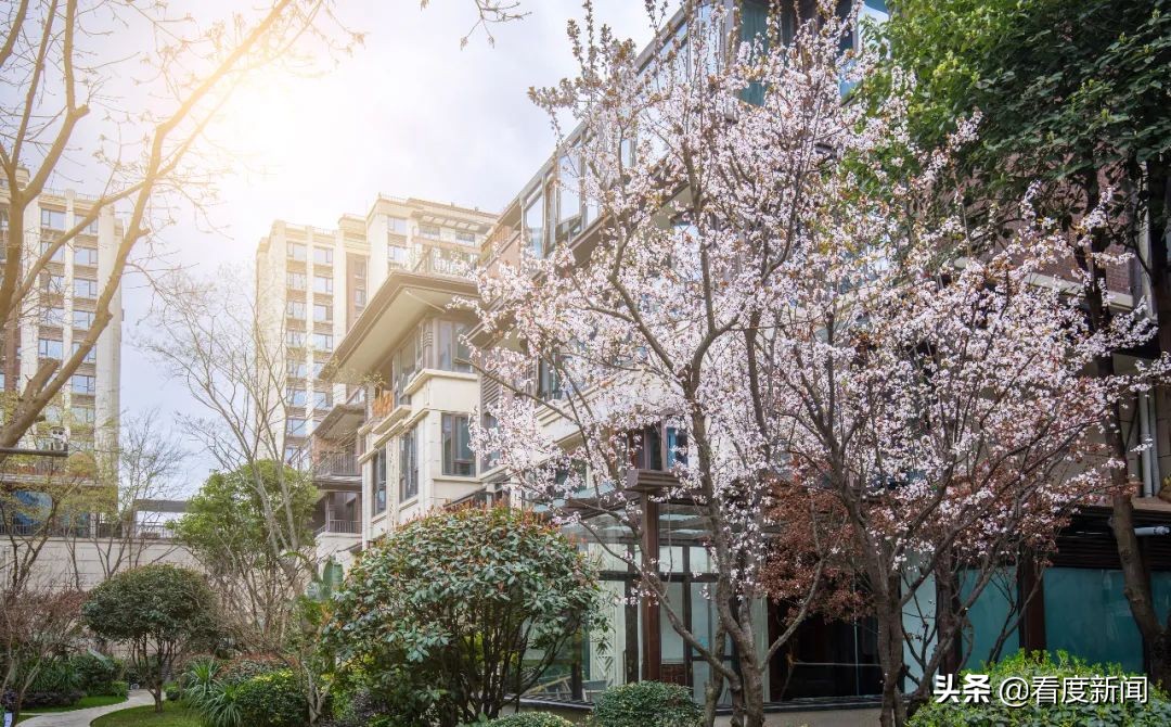 龙湖第四代城市洋房,龙湖第四代洋房户型