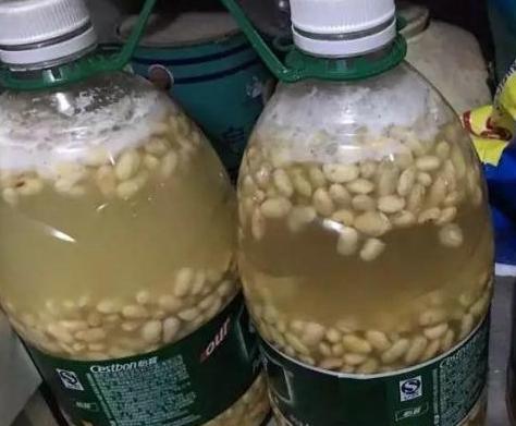 如何自制氮磷钾肥,在家如何自制氮磷钾钙肥