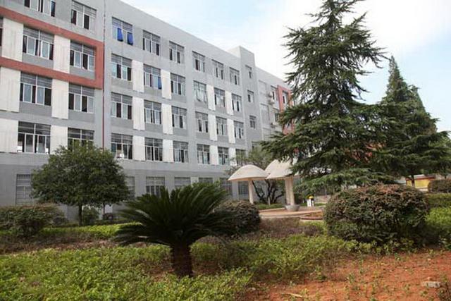 2019年常德鼎城一中高考喜报,湖南常德安乡五中高考榜