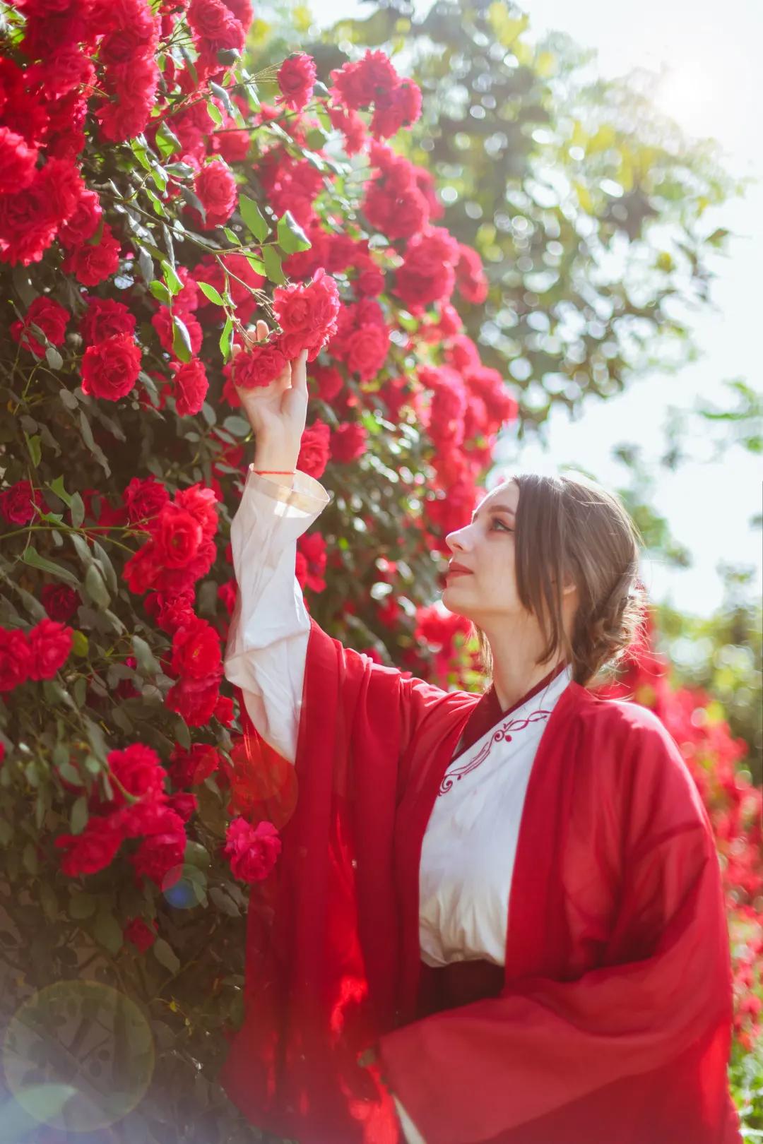 又刷屏了!高新这片花海,惊艳你的朋友圈!