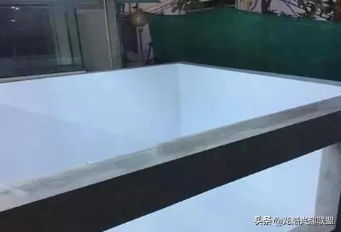 国外某熊孩子把龙鱼吓脱臼了