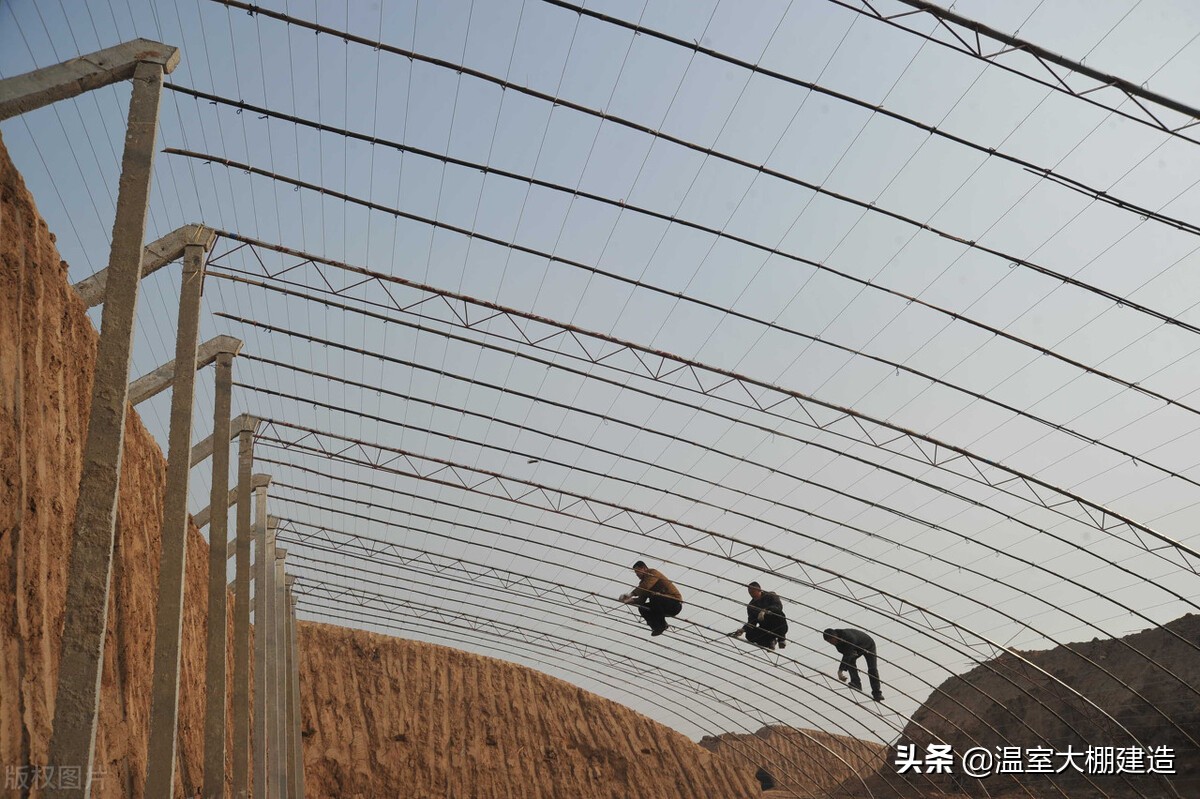 安徽日光温室大棚建造视频造价,临沂节能日光温室大棚造价多少钱