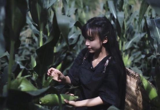 停更3个月的李子柒,李子柒停更仍月入78万