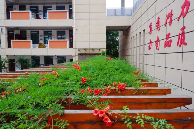 南京教育集团学校,南京初中教育集团排名