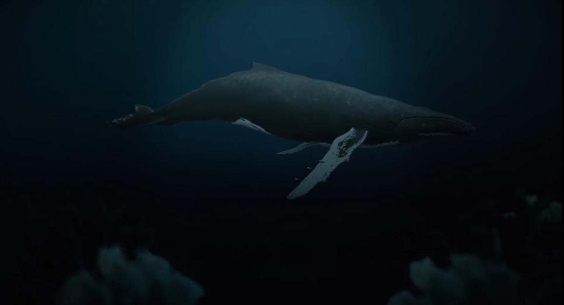 如果地球上100年不下雨怎么办,如果未来地球100年一直下雨会怎样