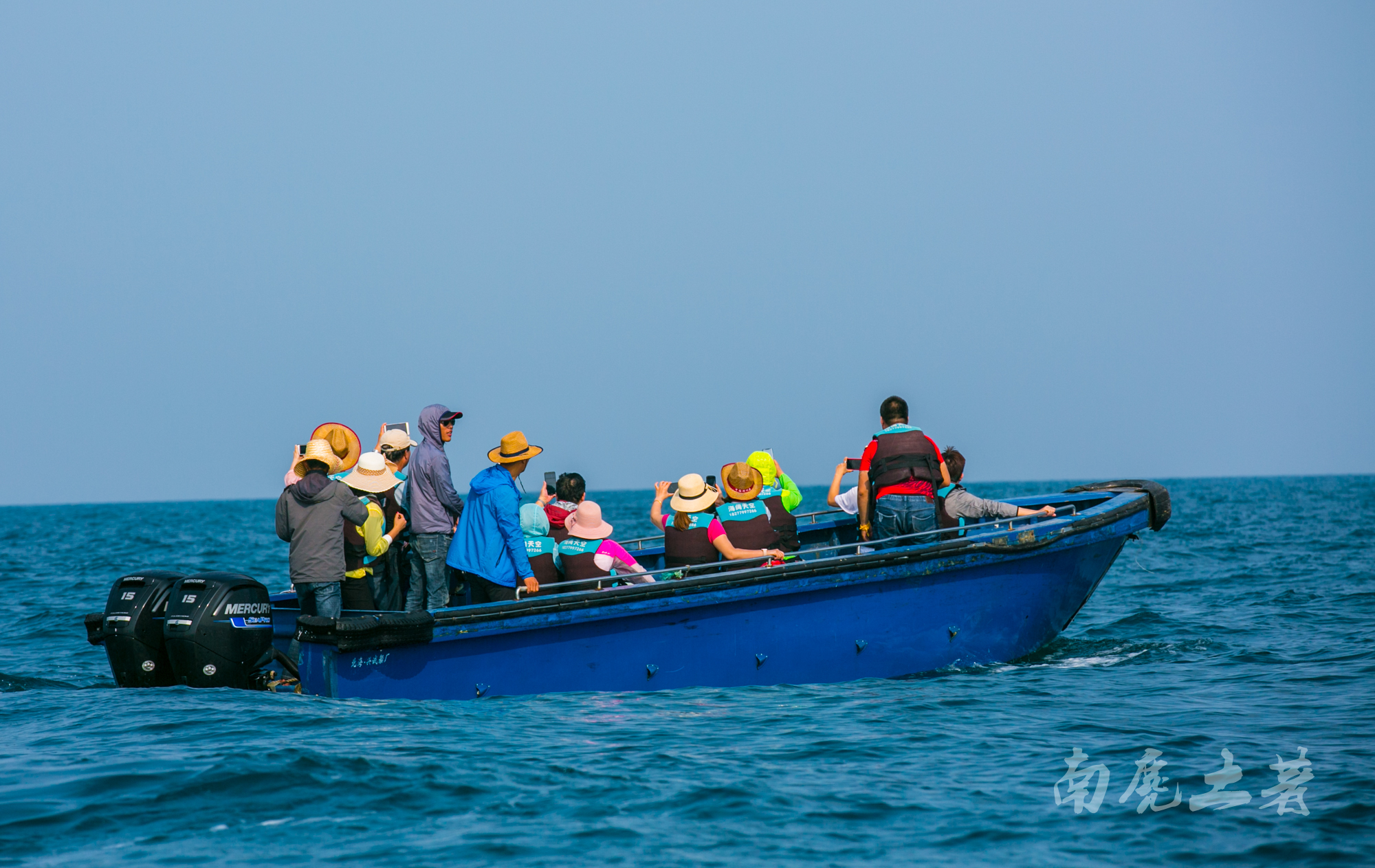鎶栭煶缃戠孩椴搁奔,椴搁奔缃戠孩